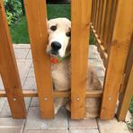 Dávid Mátis - Facebook