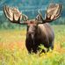 David Matteson - Facebook