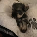 David Mattice - @david.mattice1 - Instagram
