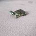 David Matyas - Facebook