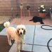 David Mauldin - Facebook