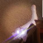 david maxson - @dfox.9 - Instagram
