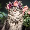 David maxson - @david.maxson28 - TikTok