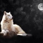 David Maxted - @starchaser_1652 - Instagram