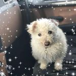 David Maxted - @david.maxted.1257 - Instagram