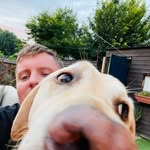 David Mayall - @davemay1984 - Instagram