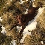 David Maybin - @davypots - Instagram