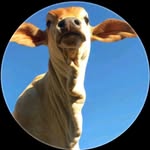 DAVID MAYEN � - @mayen0909 - Instagram