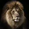 davidmayen14 - @davidmayen14 - TikTok