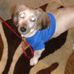 David Mayne - Facebook