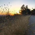 David Mazón Gonzalez - @davidmazongonzalez - Instagram
