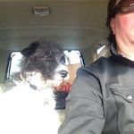 David Mazzoni - @dmazzo01 - Instagram