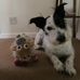 David McAdam - Facebook