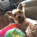 David McAlexander - Facebook