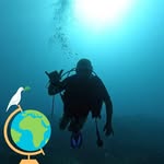 David Mcaree - @david.mcaree.9 - Instagram