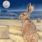 David McAulay - @mcaulaydavid - Instagram