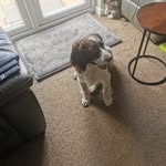 David McCloskey - @david.mccloskey.39 - Instagram