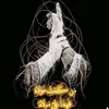 حساب مغلق - @david.m.mccown - TikTok