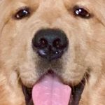 David McCue - @david.mccue_15599 - Instagram
