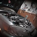 David mccue - @davidlmccue - Instagram