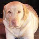 David Mccullagh - @mccullaghdavid - Instagram