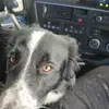 David Mc Cutcheon - @david.mc.cutcheon - TikTok