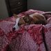 David McCutcheon - Facebook