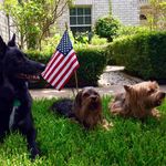 David McElhaney - @dave_atx - Instagram