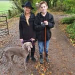 David M-McEntee - @davidmmcentee - Instagram