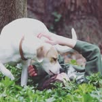 david mcgeorge - @davidsbmcgeorge - Instagram