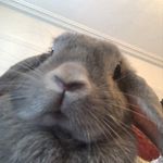 David McGlynn - @dave_mcglynn_2323 - Instagram