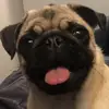 David McGlynn - @david.mcglynn - TikTok