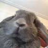 David McGlynn - @dave_mcglynn_2323 - TikTok