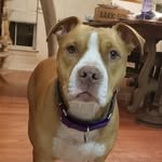 David McGrew - @ratthemailman - Instagram