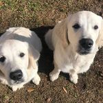 David McGuffey - @mcguffeylaw - Instagram