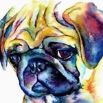 David Mchenry - @mchenrydavid - Instagram