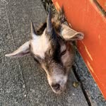 David McHenry - @thatdave33 - Instagram