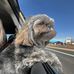 David McHenry - Facebook