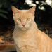 David McIntire - Facebook