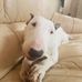 Dave Mckellar - Facebook
