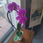 David McKellar - @davidcotuit - Instagram