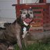 Max David McKellips - Facebook