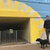 David McKeon - @davidmckeon6 - TikTok