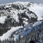 David Mckeon - @coffeedude_meo - Instagram