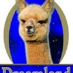 David McLeish Jr - @dreamland_alpacas - Instagram