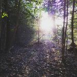 David mcminn - @mcminn9611 - Instagram