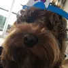 David - @davidmcneilly6 - TikTok