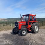 David Mc Quaid - @mcquaid_david - Instagram