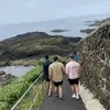 David McQuiggan - @davidmcquiggan1 - TikTok