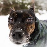David Harold McWhirter - @dave.mcwhirter.1 - Instagram